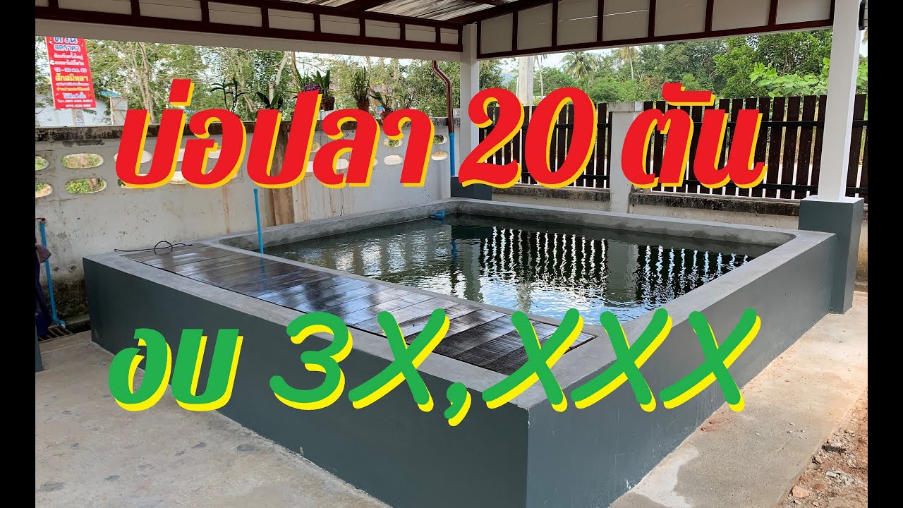 บ่อปลาคาร์พ สวยๆ งบ 3 หมื่น ขนาด 20 ตัน (Fish Pond for 1,255 USD) #สร้างบ่อปลา
