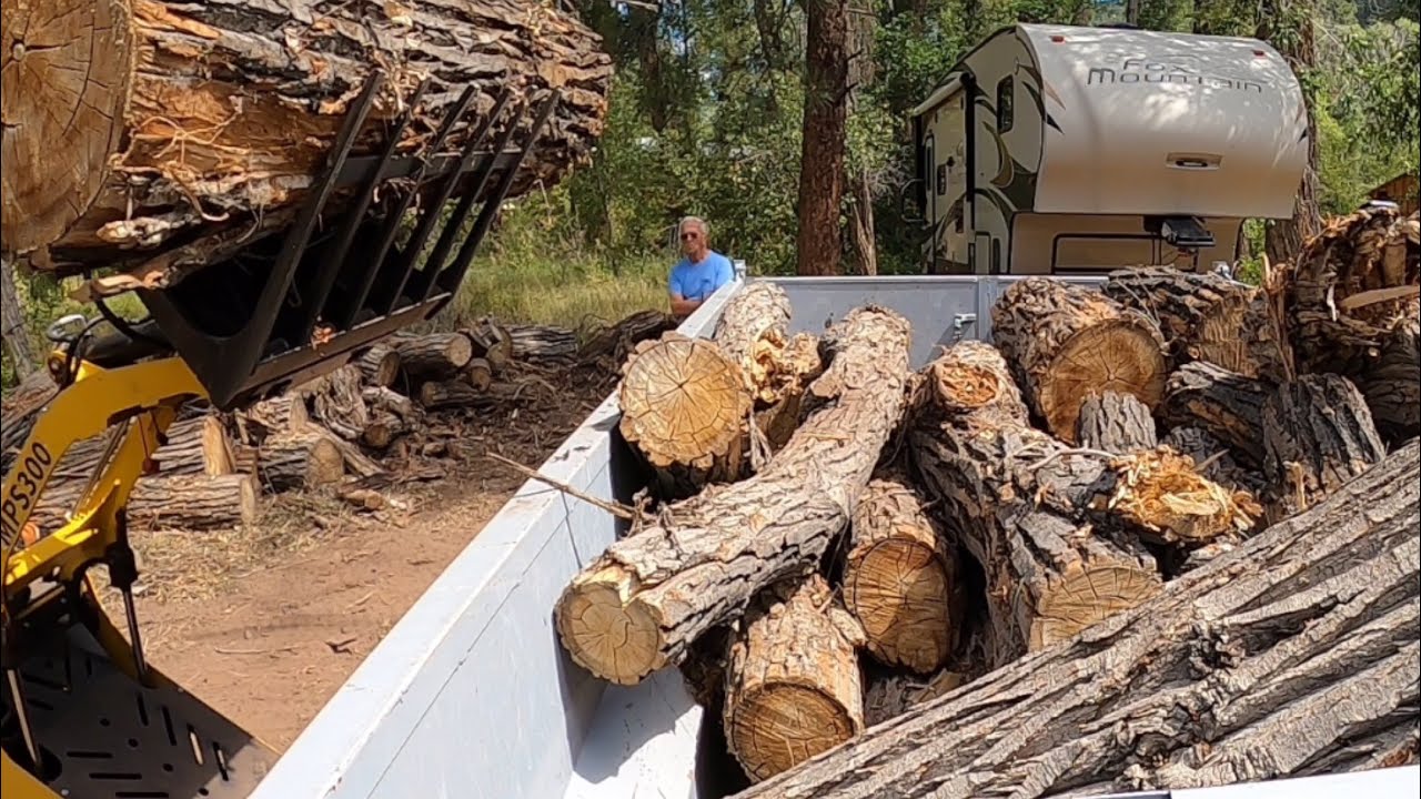 Mini skid steer loading logs in Colorado!  The little powerhouse does it again!  #miniskidsteer
