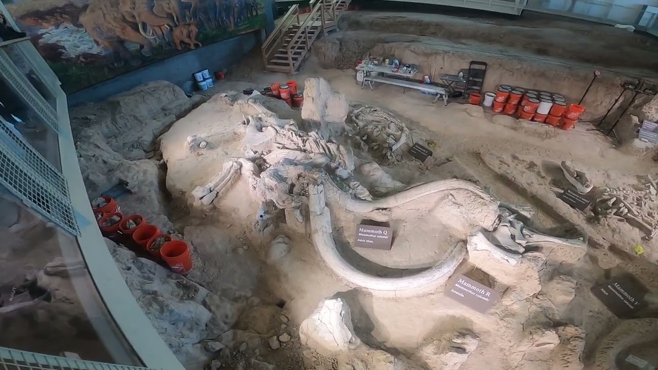 South for the Winter Roadtrip Episode 347: Mammoth National Monument, Waco, TX Part 2