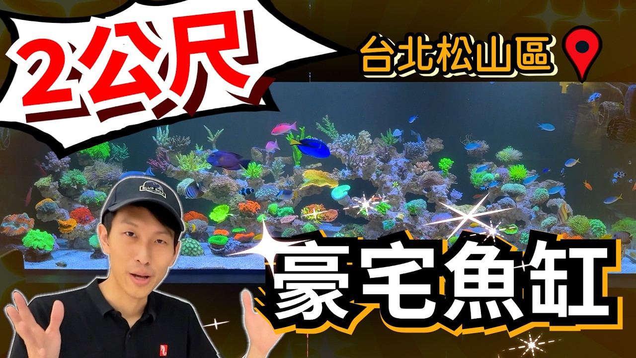 【藍箱水族】開箱豪宅！台北松山230cm超大海水缸！一年完整記錄