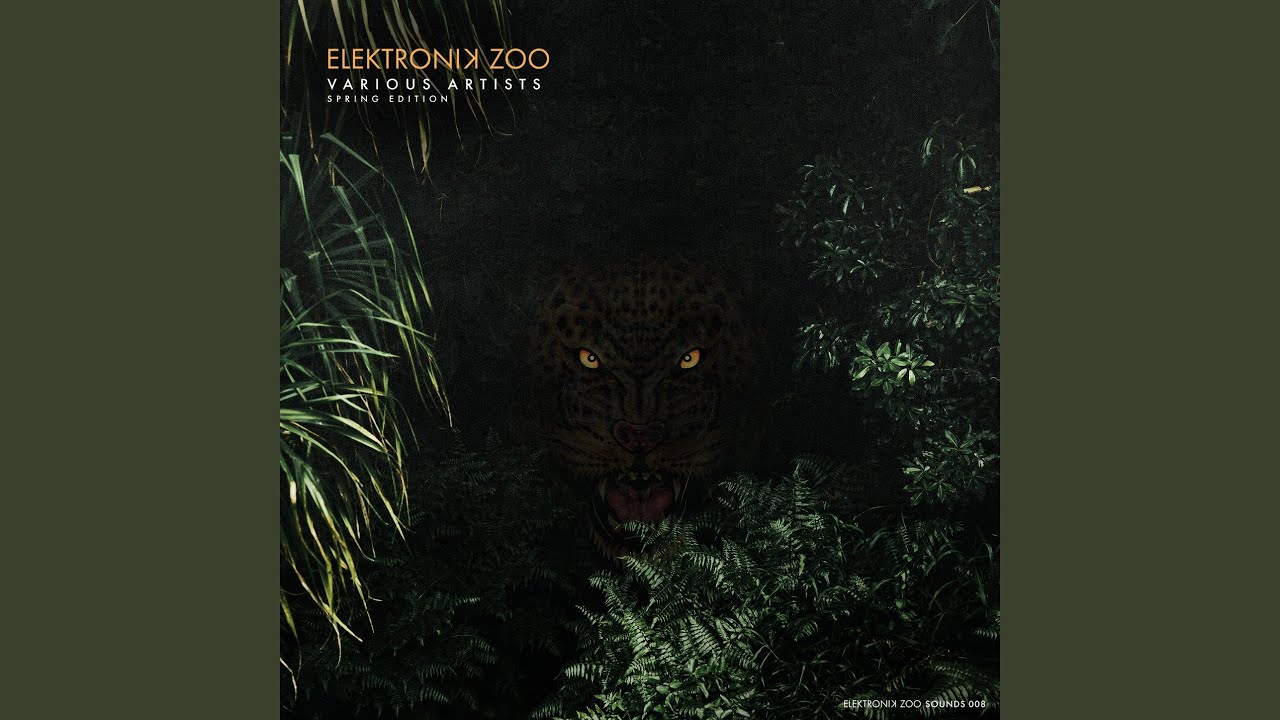 Into the Stratosphere