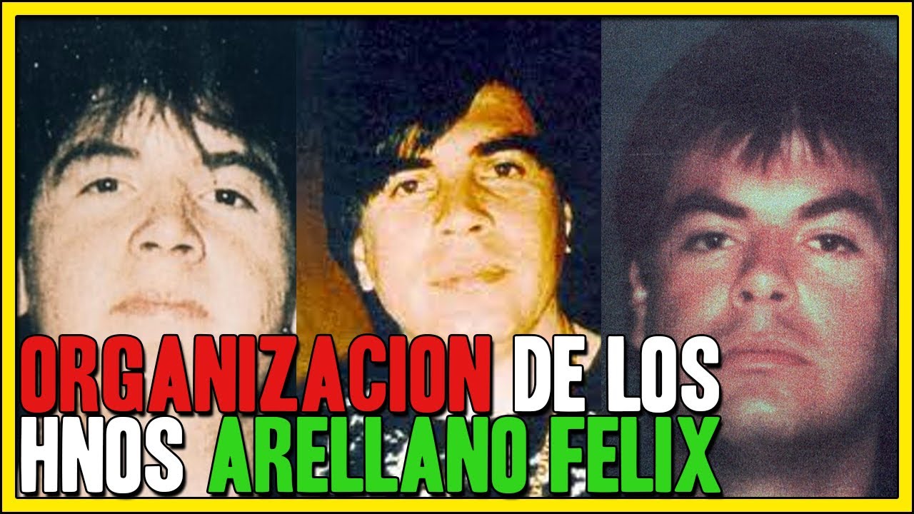 La organizaci&oacute;n de los hermanos ARELLANO FELIX o el CARTEL DE TIJUANA