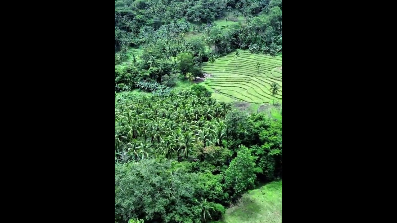 featuring Barangay Siloo Malitbog Bukidnon