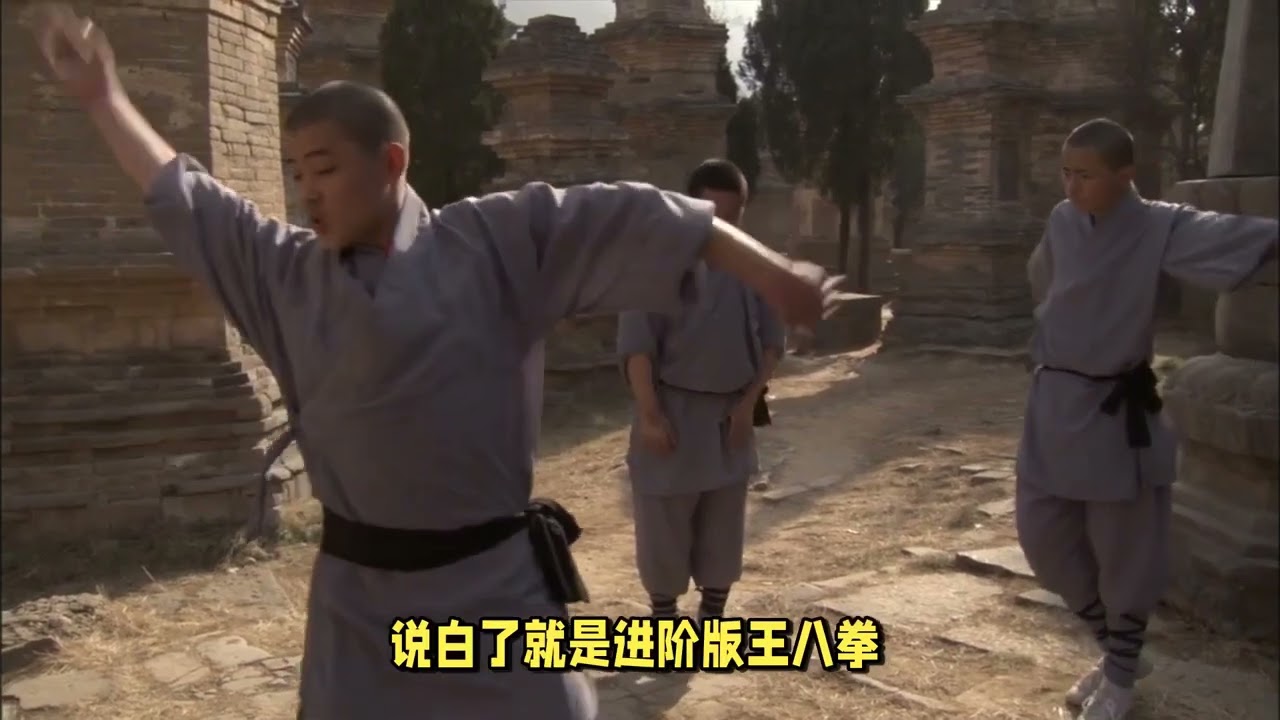 功夫真是殺人技？傳武狠招大揭秘！八極披掛為何嚇人？南拳北腿差別在哪？傳武生存打架術 Chinese Kung Fu is a Lethal Art