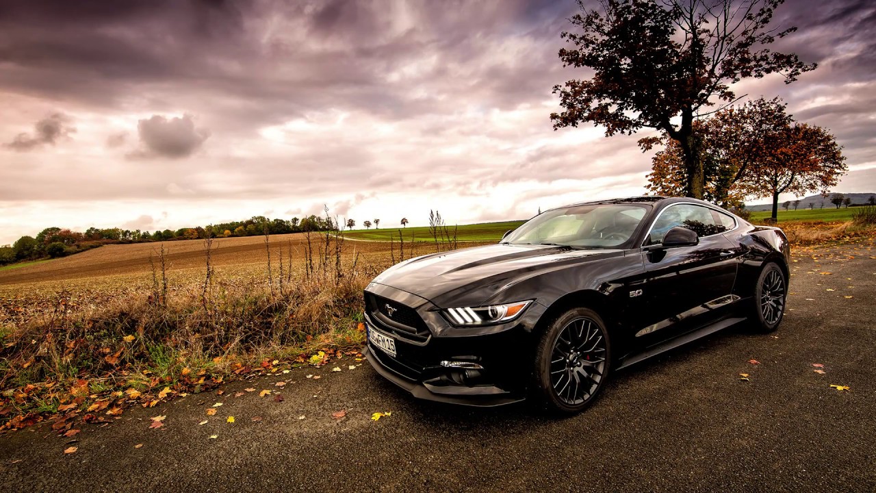 TheSmoker Ford Mustang Burnout Autohaus Fiege Hofgeismar
