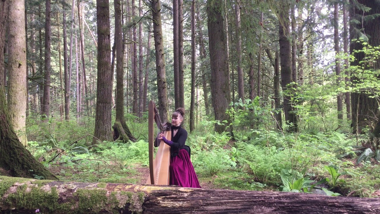 Looking at a Rainbow through a Dirty Window, by Calum Stewart - Leanne Page, Celtic Harp