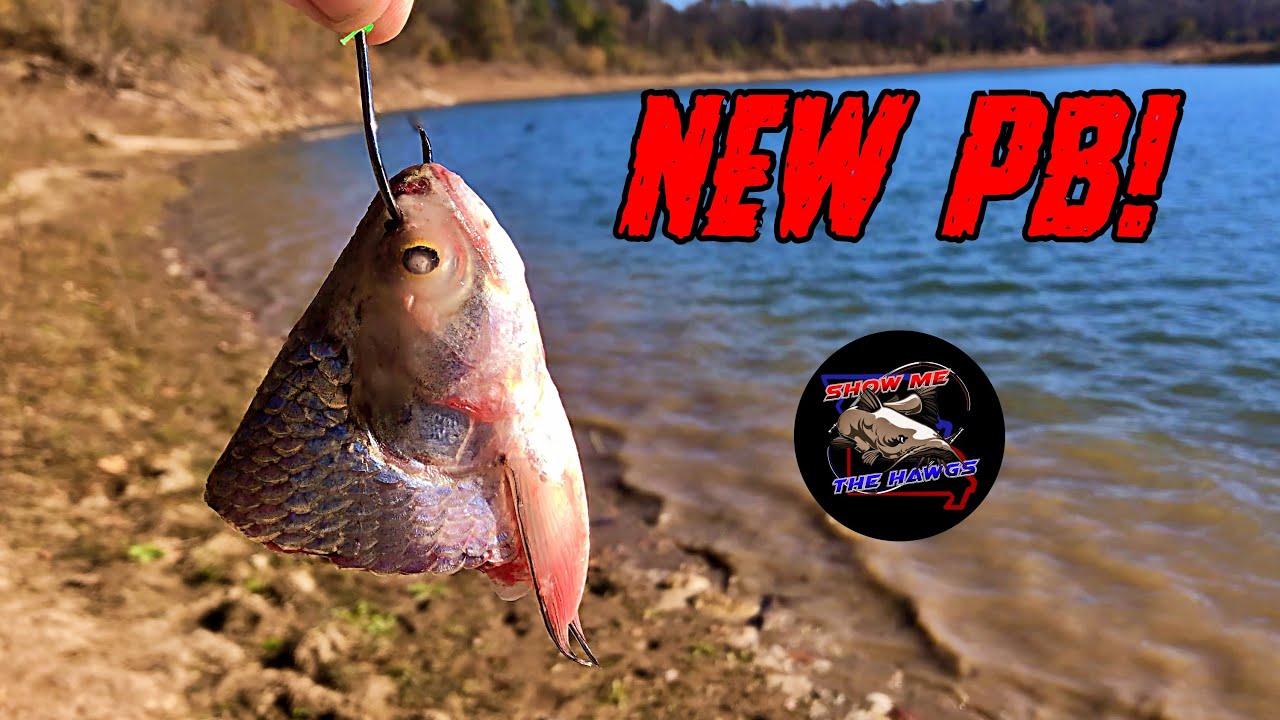There's a BEAST in This Hole! | Fall Catfishing on the Meramec River