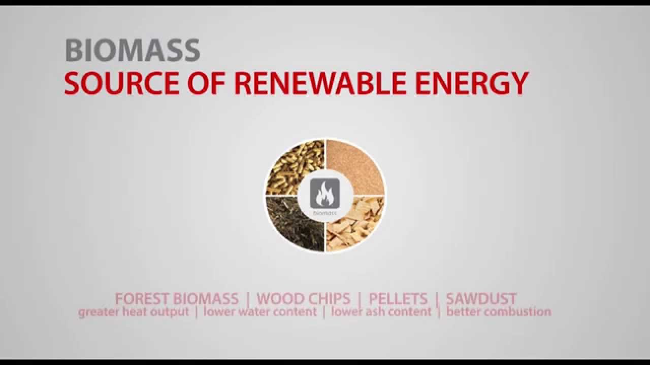 Biomass boilers for water heating