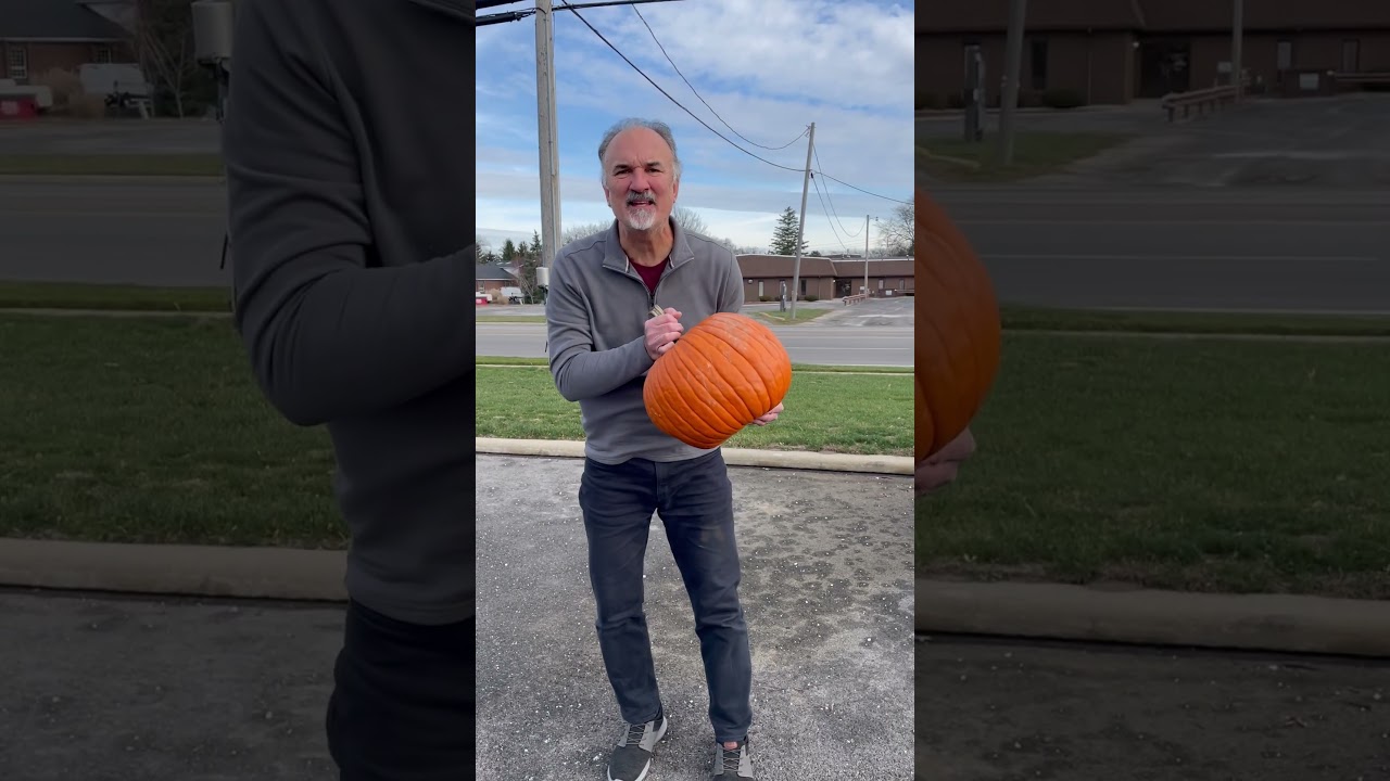 Recycle your Pumpkins!