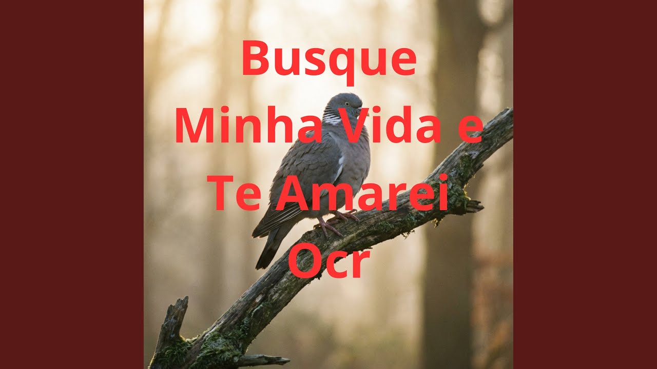 Busque Minha Vida e Te Amarei