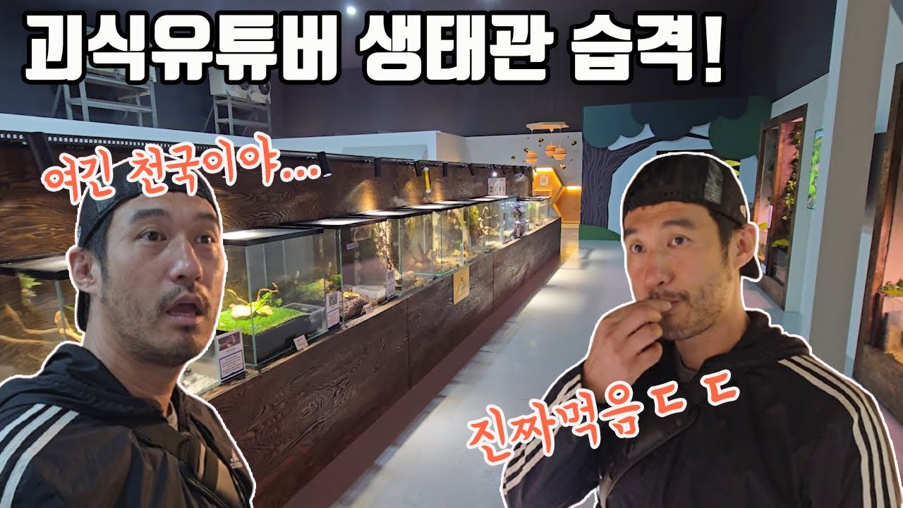 비상사태! 러브버그 씹어먹던 곤충먹방 유튜버가 곤충생태관에 찾아왔습니다 ㄷㄷ