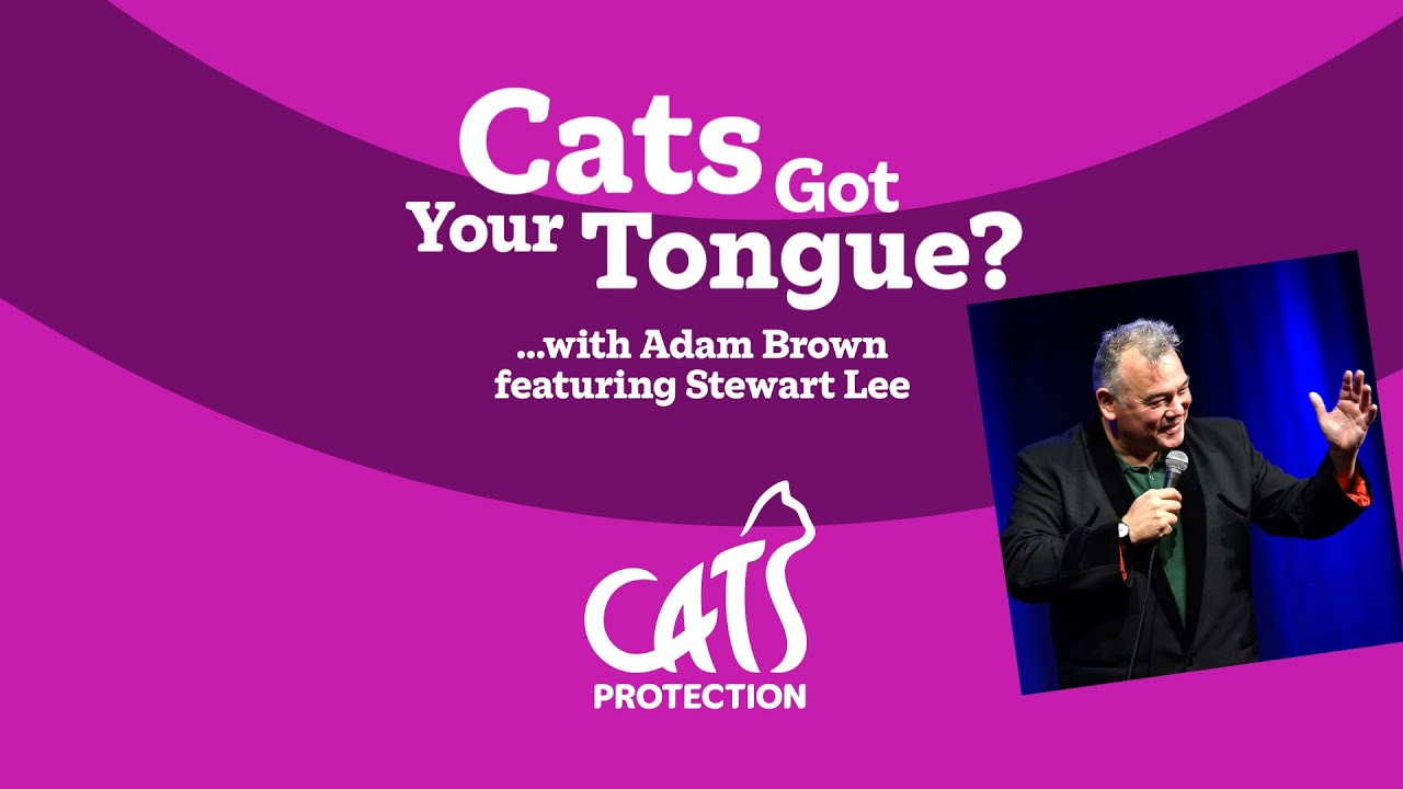 Cats Got Your Tongue? podcast with Stewart Lee  🐱🎙️ Do cats really need humans?