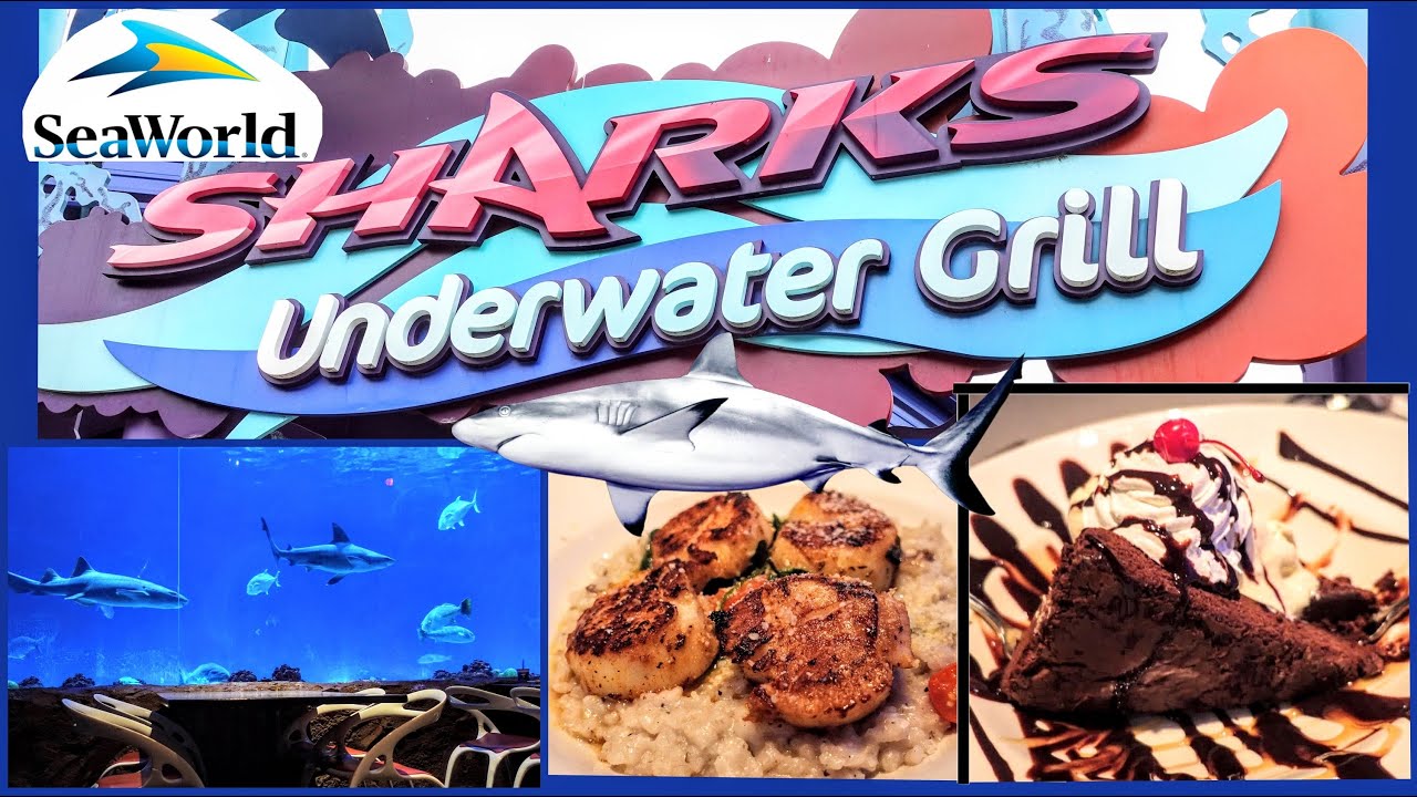 Sharks Underwater Grill Sea World Orlando Restaurant Review | Best Restaurant at Sea World Orlando