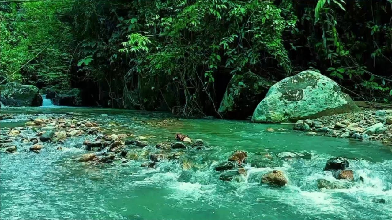 RELAXING FOREST RIVER SOUNDS & GENTLE BIRDSONG | DEEP SLEEP, STRESS RELIEF & MEDITATION ASMR