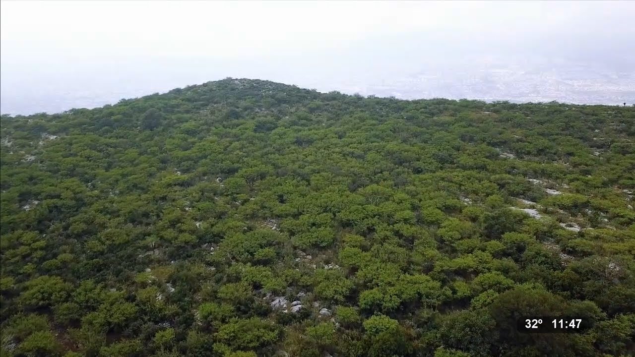 El Cerro del Topo, Escobedo, Nuevo León | Reportajes de Alvarado