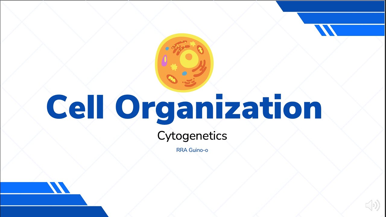 Cell Organization | Organelles | Model Organisms