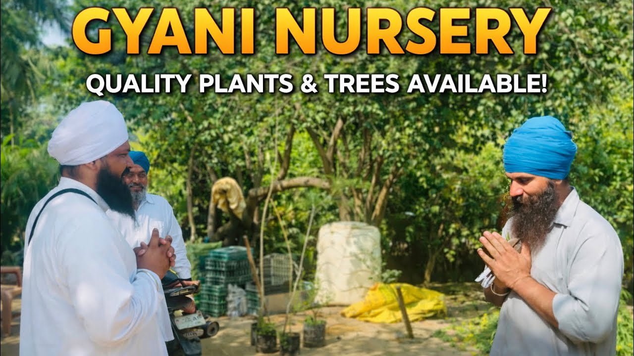   ਪੌਦੇ ਨਰਸਰੀ – ਘੱਟ ਕੀਮਤ ਵਿੱਚ ਵਧੀਆ ਪੌਦੇ | Gyani Nursery 🌱 Bhai Gurjant Singh Ji Rori Wale || 