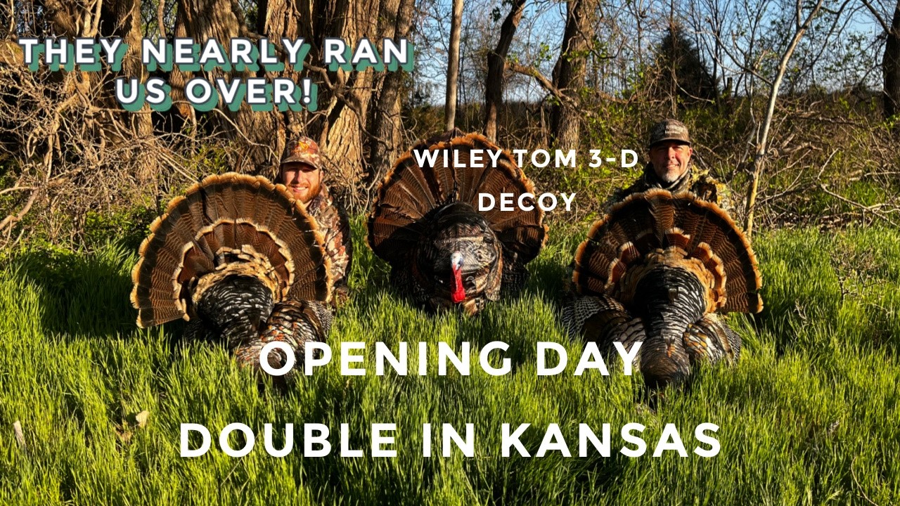 OPENING DAY DOUBLE IN KANSAS! WILEY TOM 3-D DECOY from Montana Decoy!