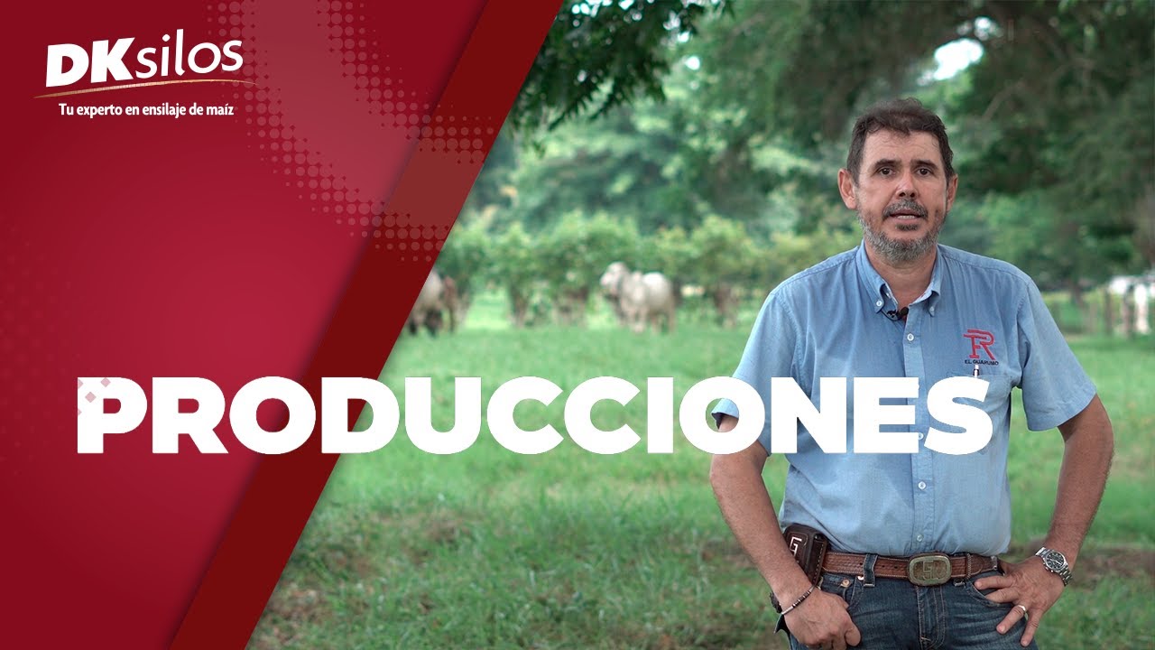 DKsilos - Testimonio - Finca El Guarumo | Tapachula, Chiapas.