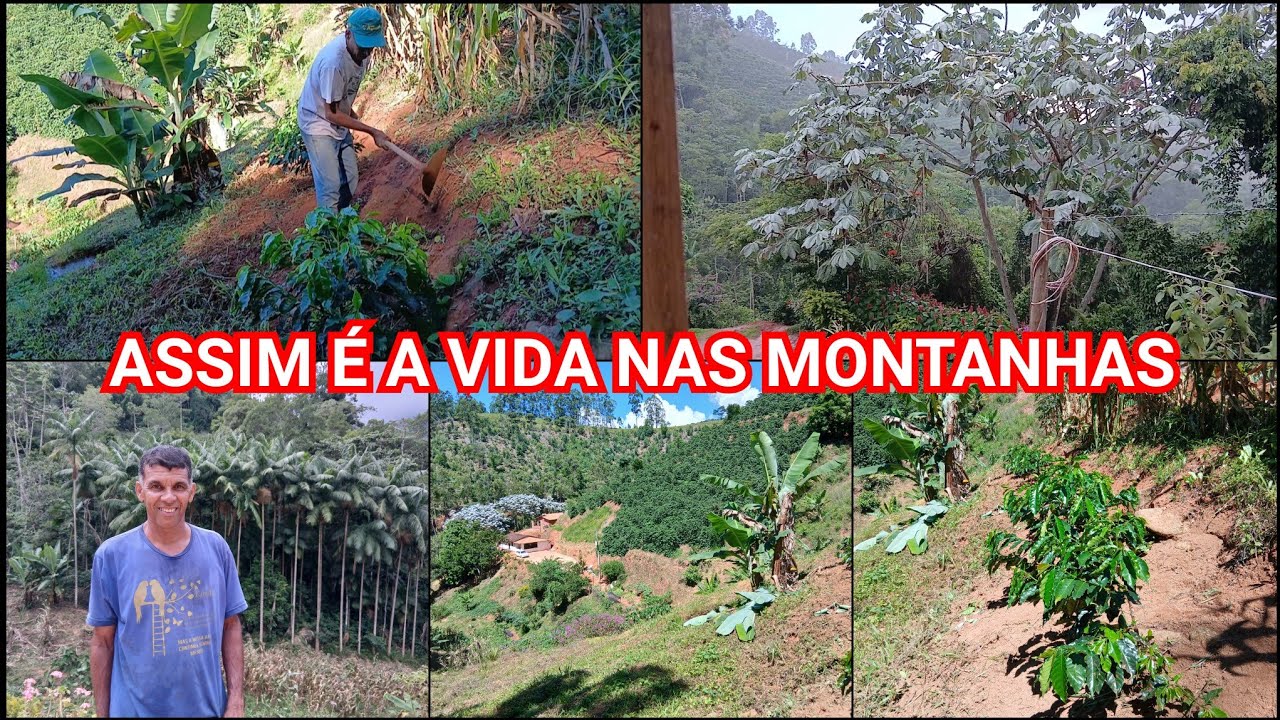 TRABALHANDO NAS MONTANHAS/CUIDADOS COM A LAVOURA DE CAFÉ/UMA CHUVA ABENÇOADA PRA FINALIZAR O DIA