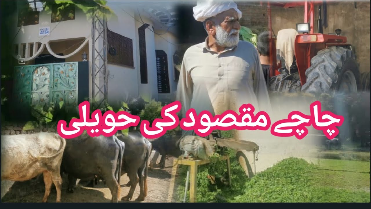 chachy Maqsood ki haveli | kachi mand bajwat sialkot| village discover|