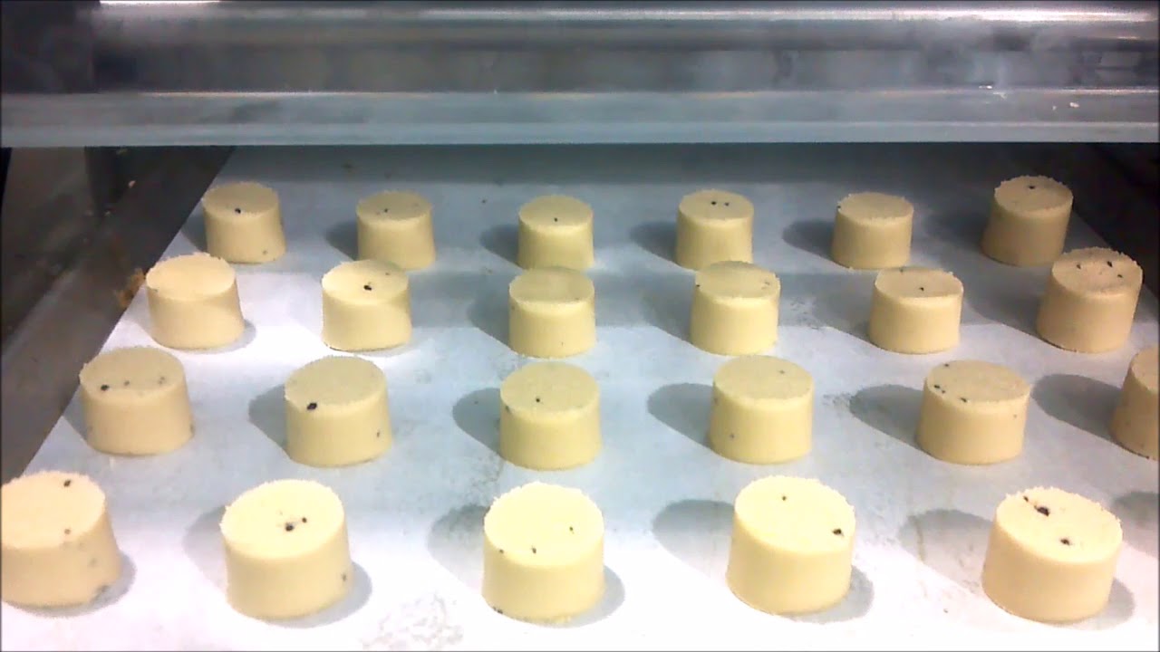 POLIN Multidrop Depositor for Chocolate Chip Cookies - ProBAKE Bakery Equipment