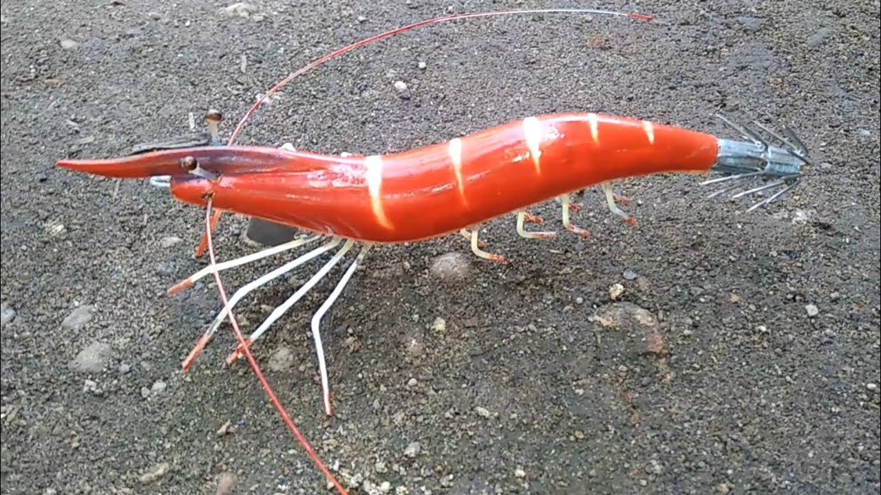 How to make a wooden shrimp squid lure for squid fishing..