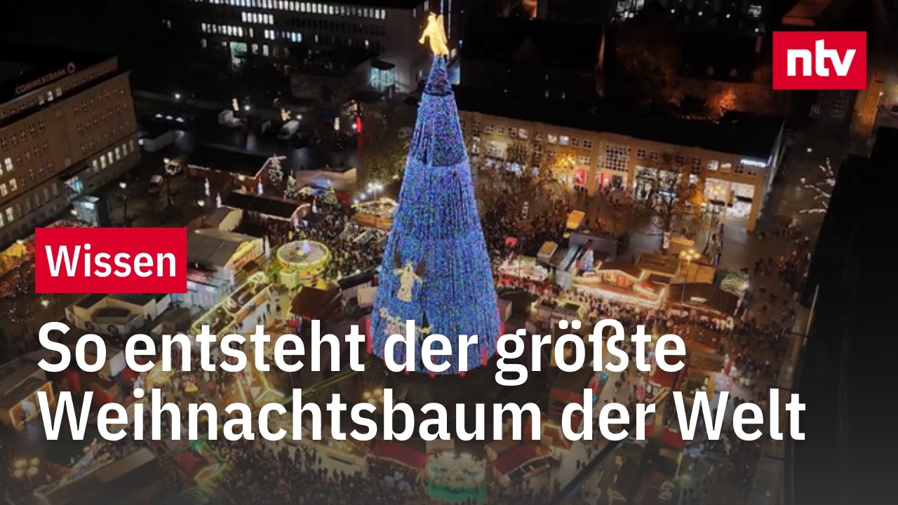 Größter Weihnachtsbaum der Welt: So viel Technik steckt dahinter
