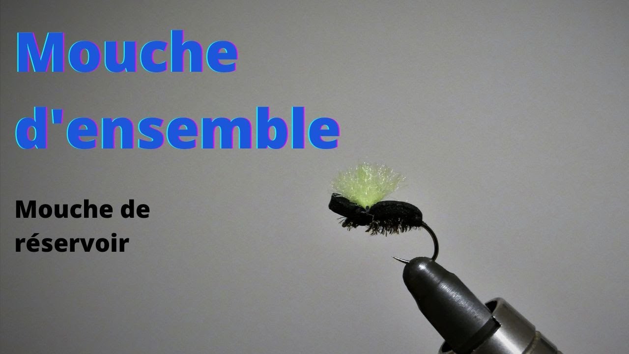 Mouche de r&eacute;servoir