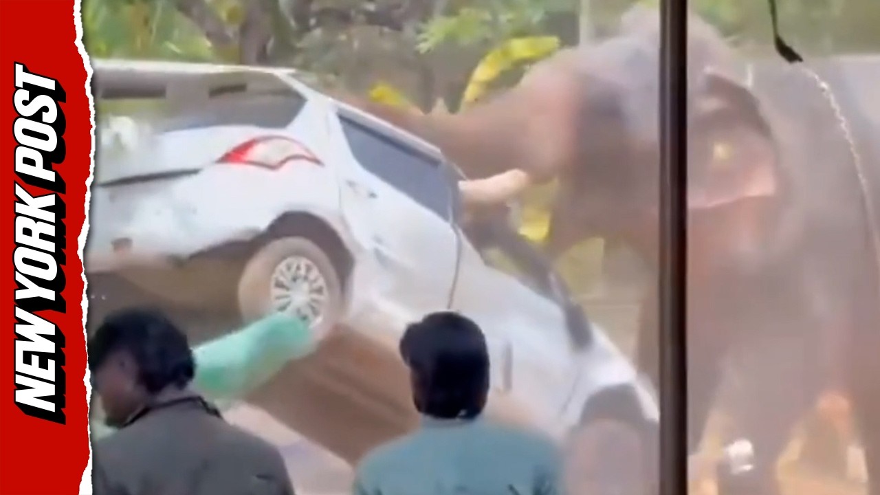 Elephant Goes on a Deadly Rampage at Temple Festival in India, Killing One