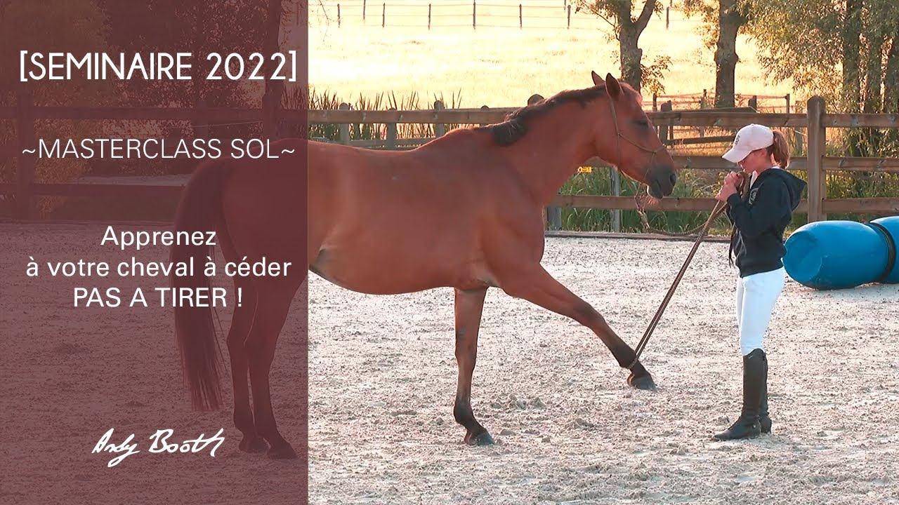 Apprenez à votre cheval à céder, pas à tirer !