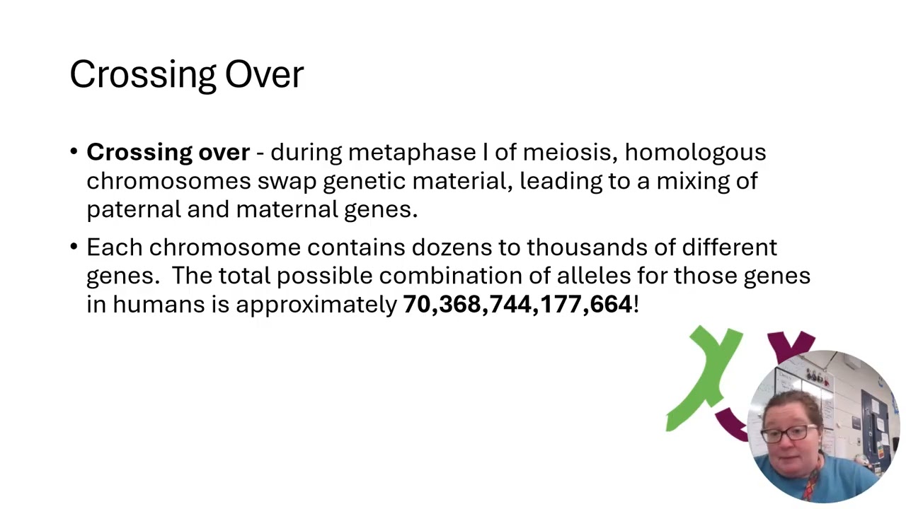5 2 Meiosis and GeneticDiversity