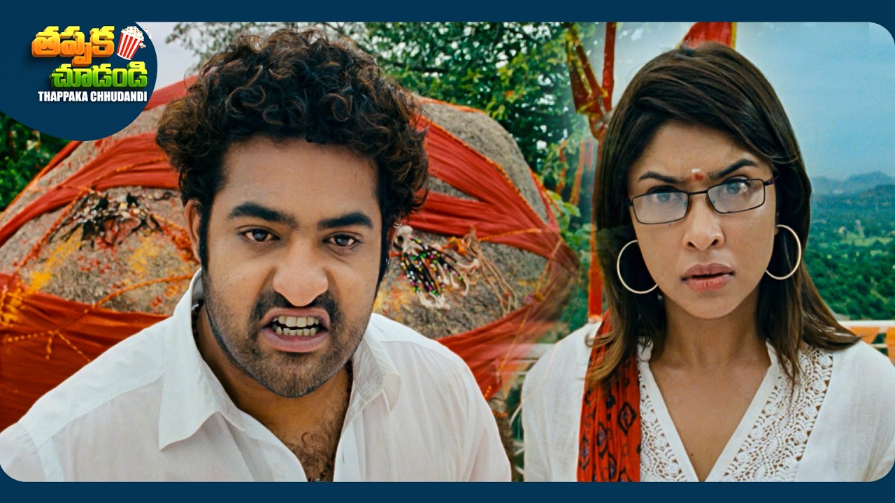 Jr.NTR And Tamannaah Telugu SuperHit Movie Scene | @ThappakaChudandi9