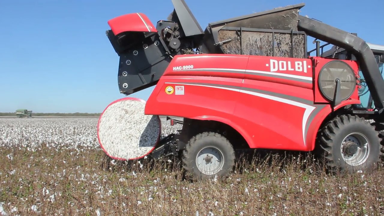 DOLBI COSECHADORA HAC 5000 EN ACCIÓN