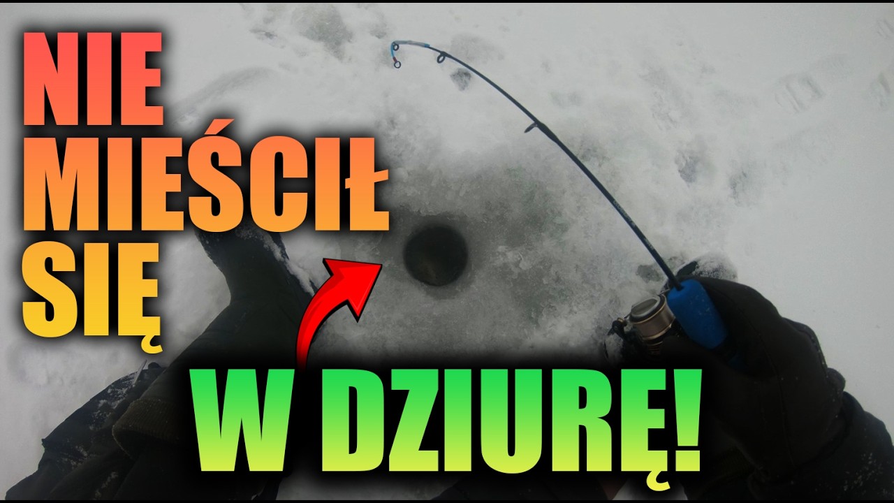 SKUTECZNE ŁOWIENIE Z LODU- Wędkuj z Alfim #57