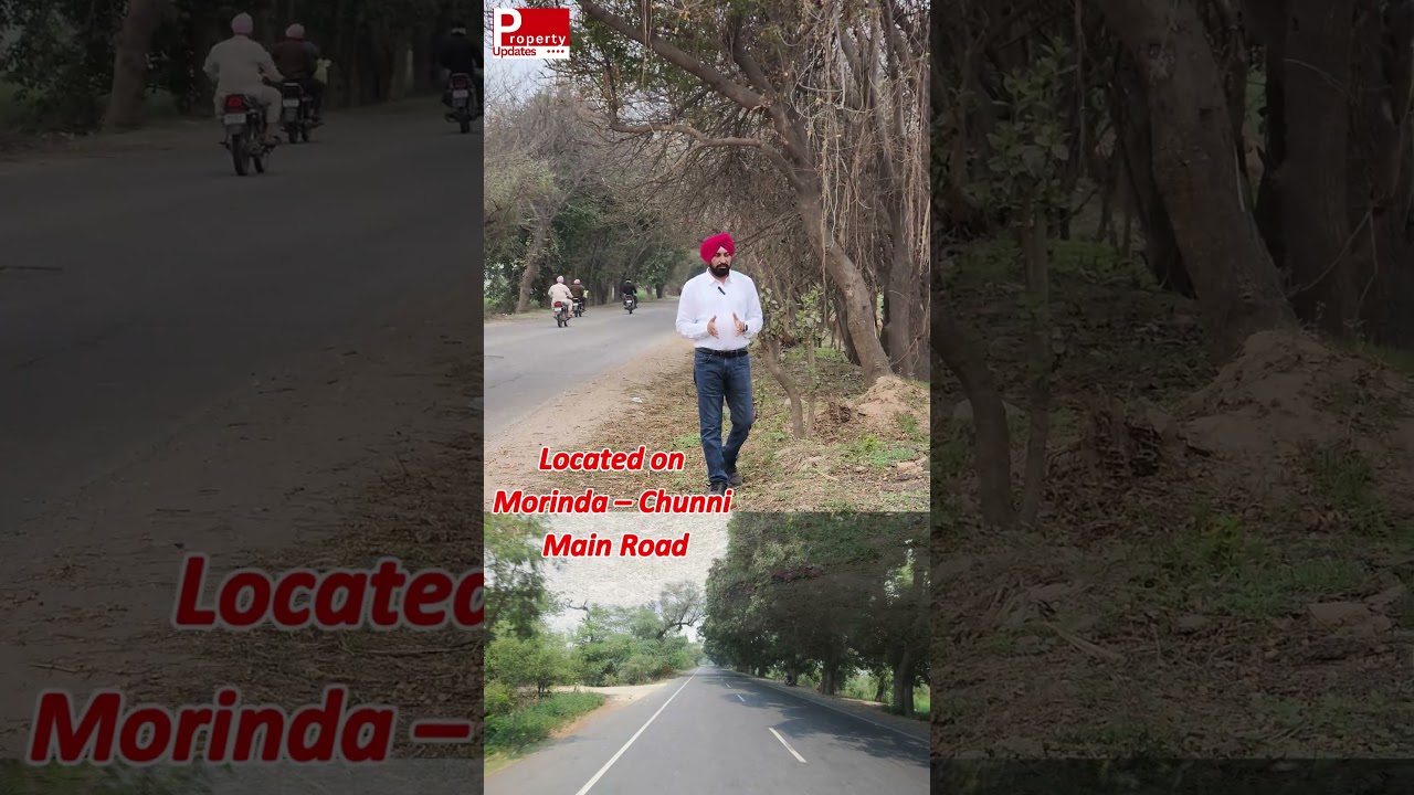 4 Kanal 4 Marla Land for Sale | Morinda&ndash;Chunni Main Road | 220 Ft Frontage