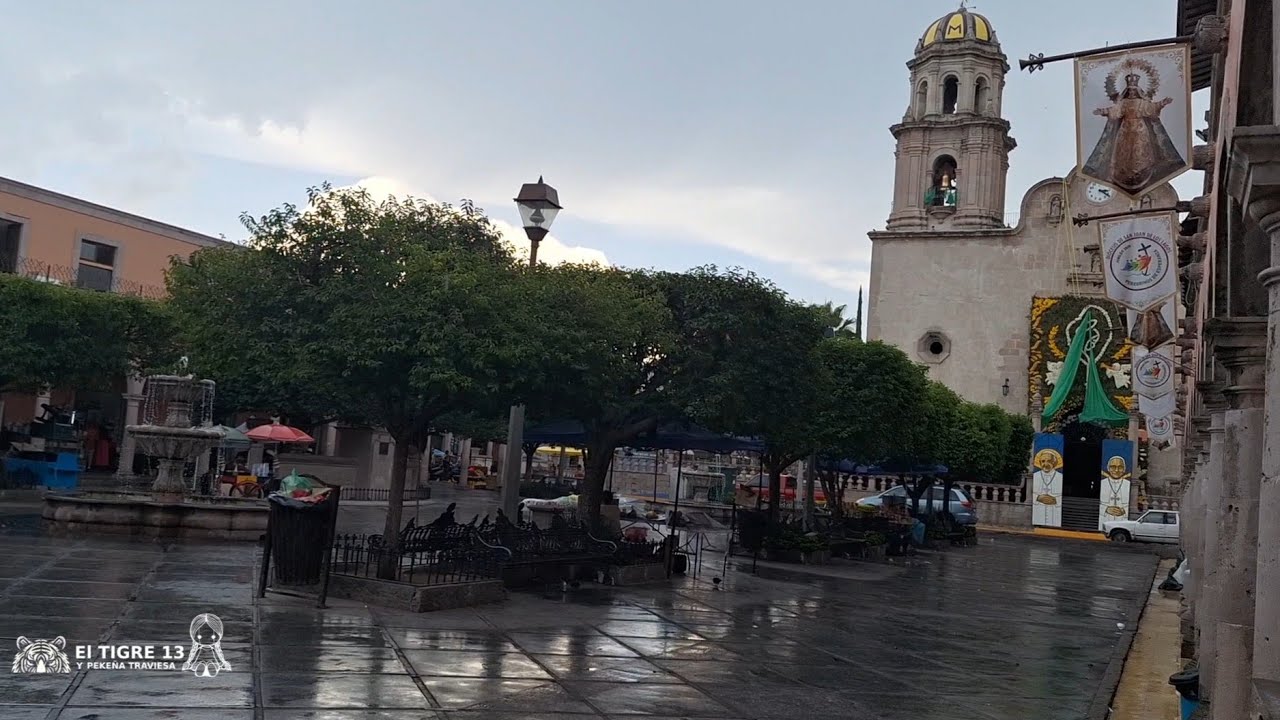Empezando nueva semana y no hay gente 🐅