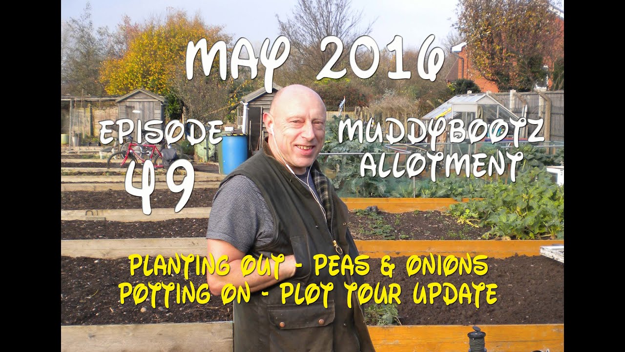 MuddyBootz Allotment #49 - Planting Out - Potting On - Plot Tour