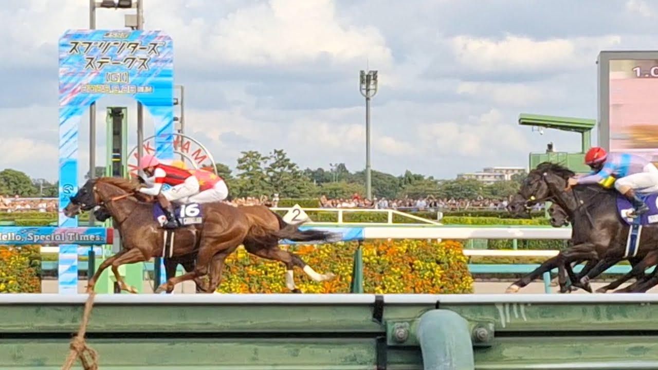 2025/9/28 中山競馬場 現地 中山11R スプリンターズS ゴール板前 1着ウインカーネリアン 2着ジューンブレア 3着ナムラクレア 8着ピューロマジック