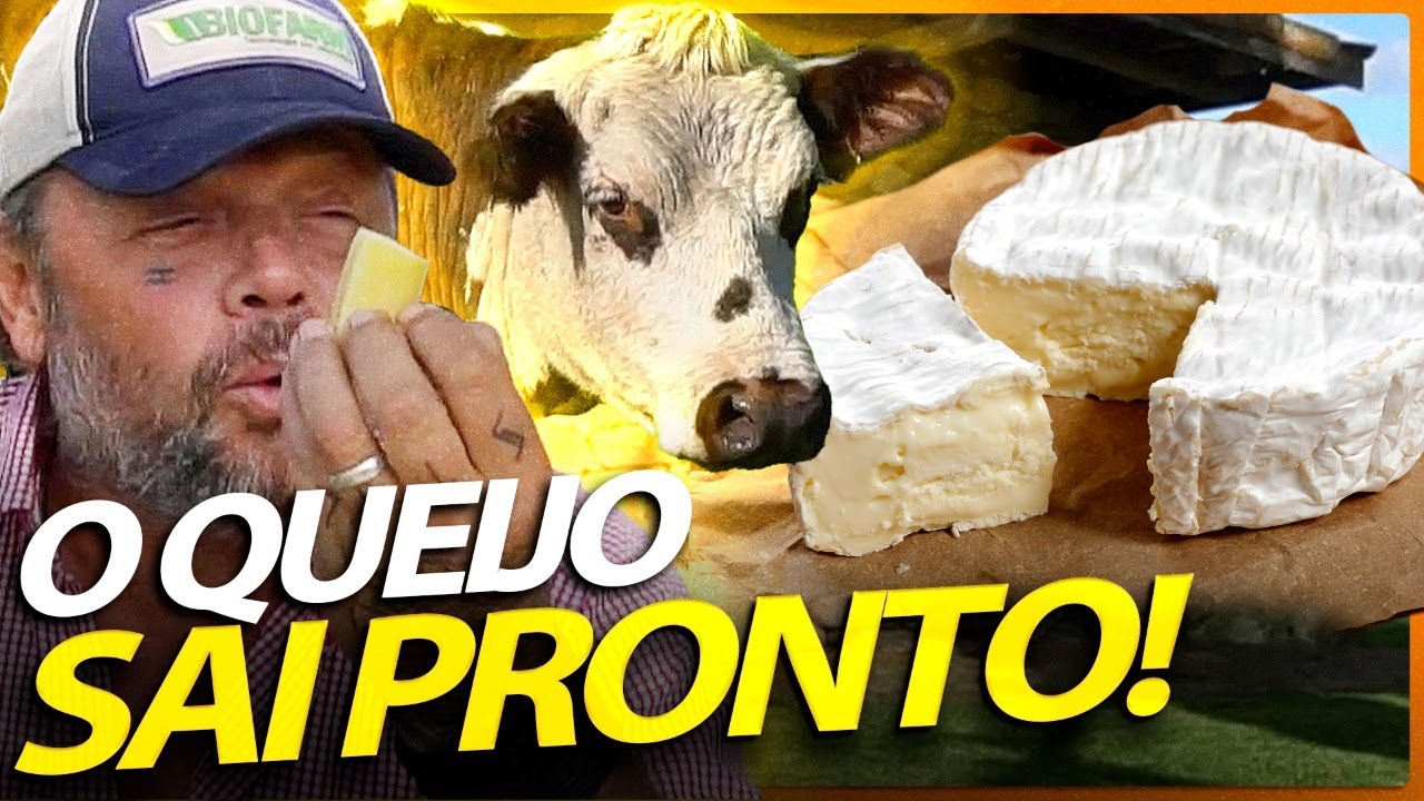 NORMANDA, A VACA QUE FAZ O MELHOR QUEIJO DO MUNDO! | RICHARD RASMUSSEN