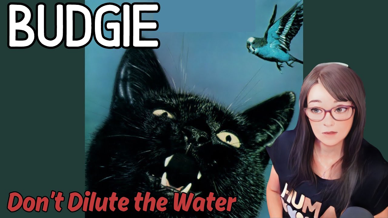 Budgie - Don’t Dilute the Water | REACTION | First Time Hearing