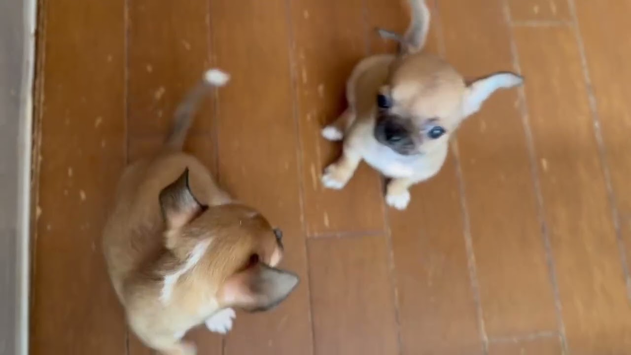 毎日遊びまくりです٩( ᐛ )و