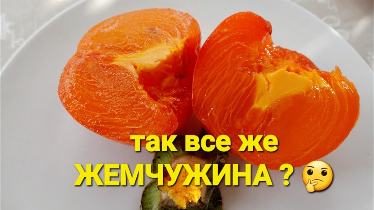 ОДЕССА ❤️ ХУРМА ЖЕМЧУЖИНА СВАНЕТИИ  НА САМОМ ДЕЛЕ ХИАКУМЕ❗️