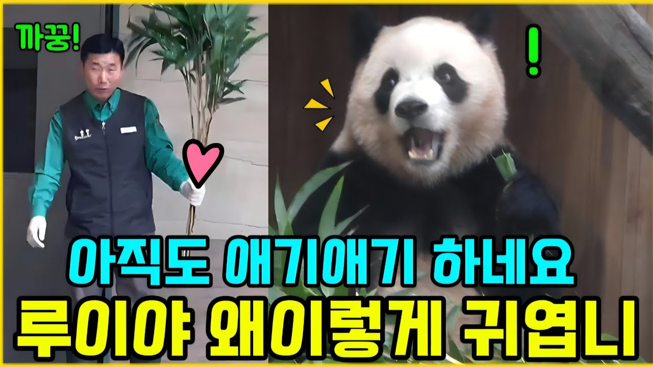 에버랜드 세컨하우스 😘 1월13일 화요일 왜이렇게 귀엽죠? 아직도 애기애기 하네요 