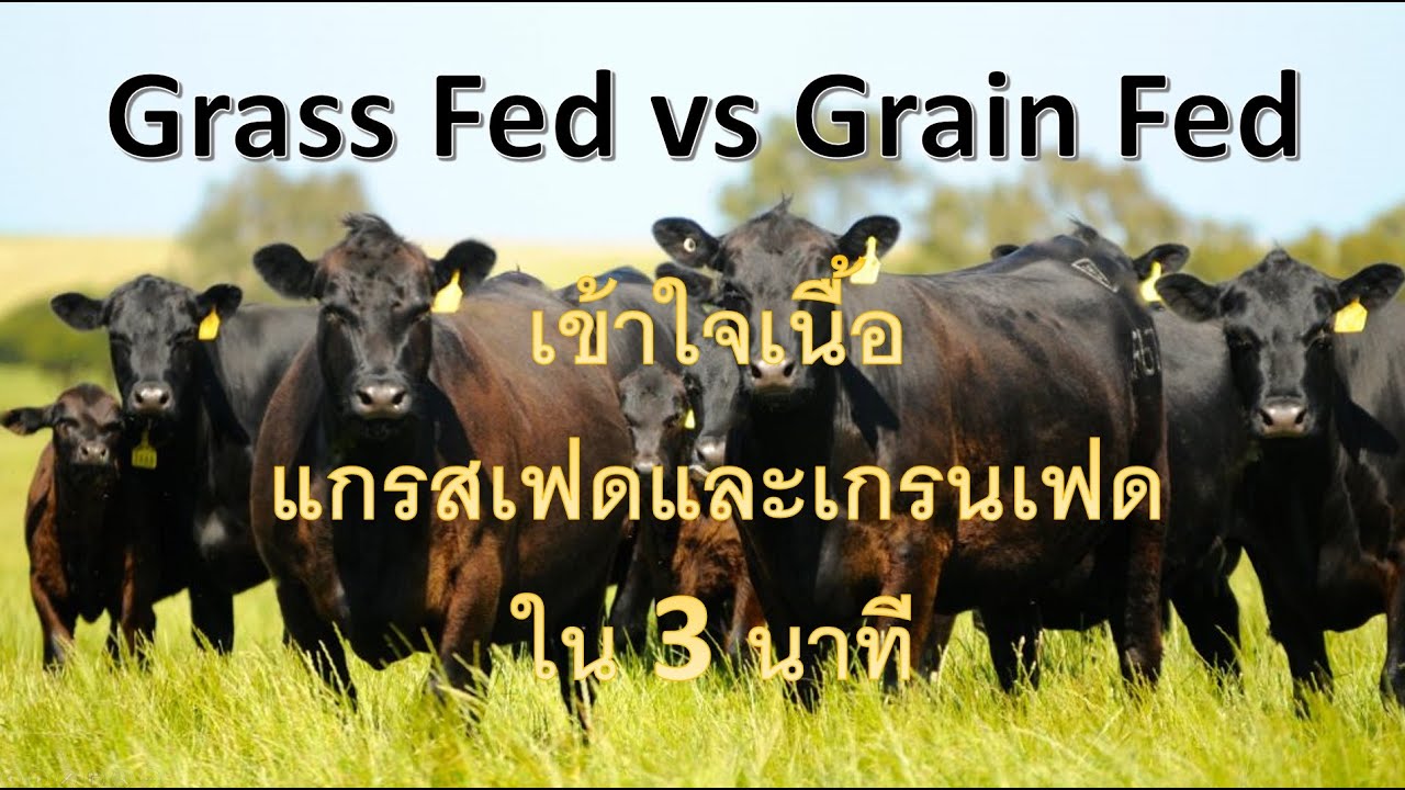 EP6 - เข้าใจเนื้อแกรสเฟด และ เกรนเฟดใน 3 นาที