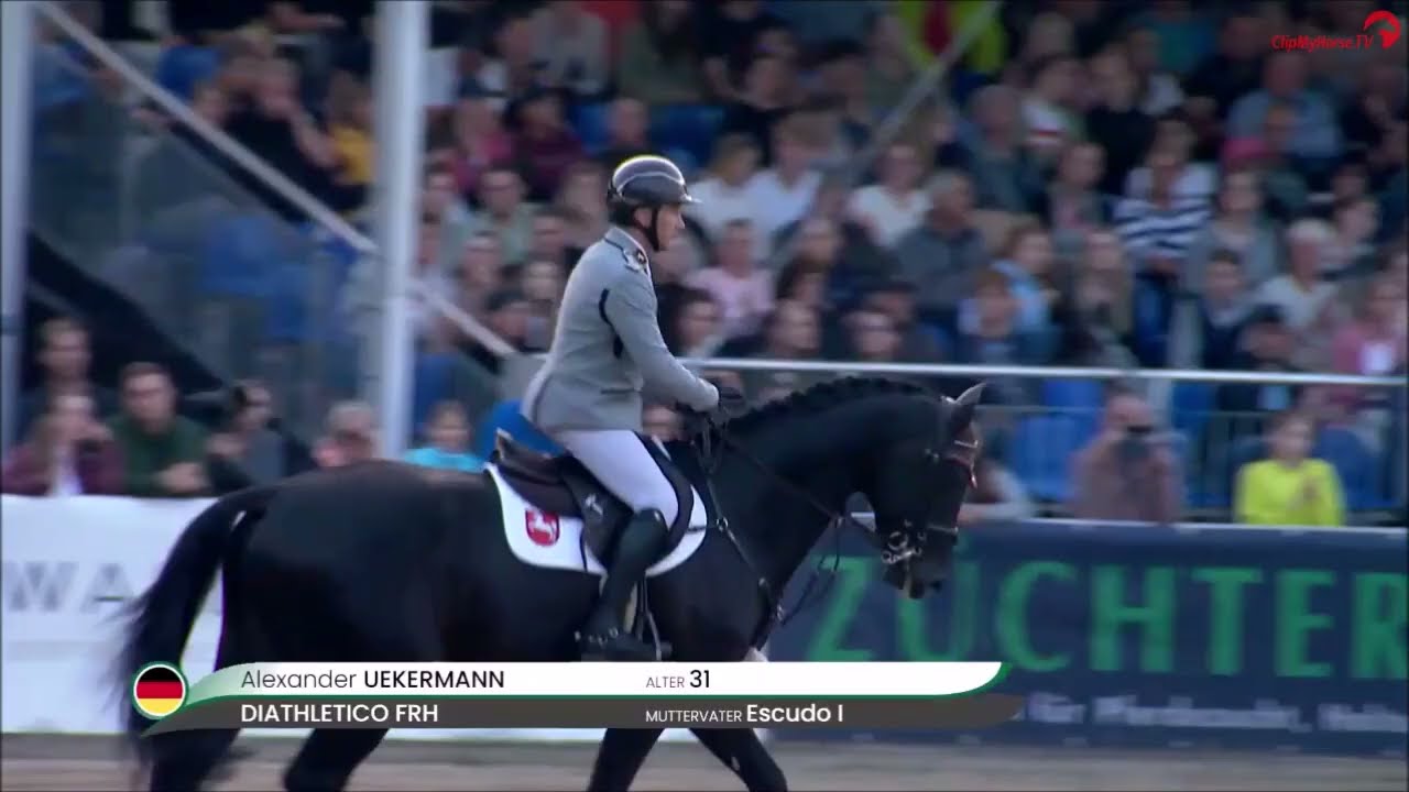 DiathleticoFRH - Finale der 7-jährigen Springpferde - Bundeschampionat 2023