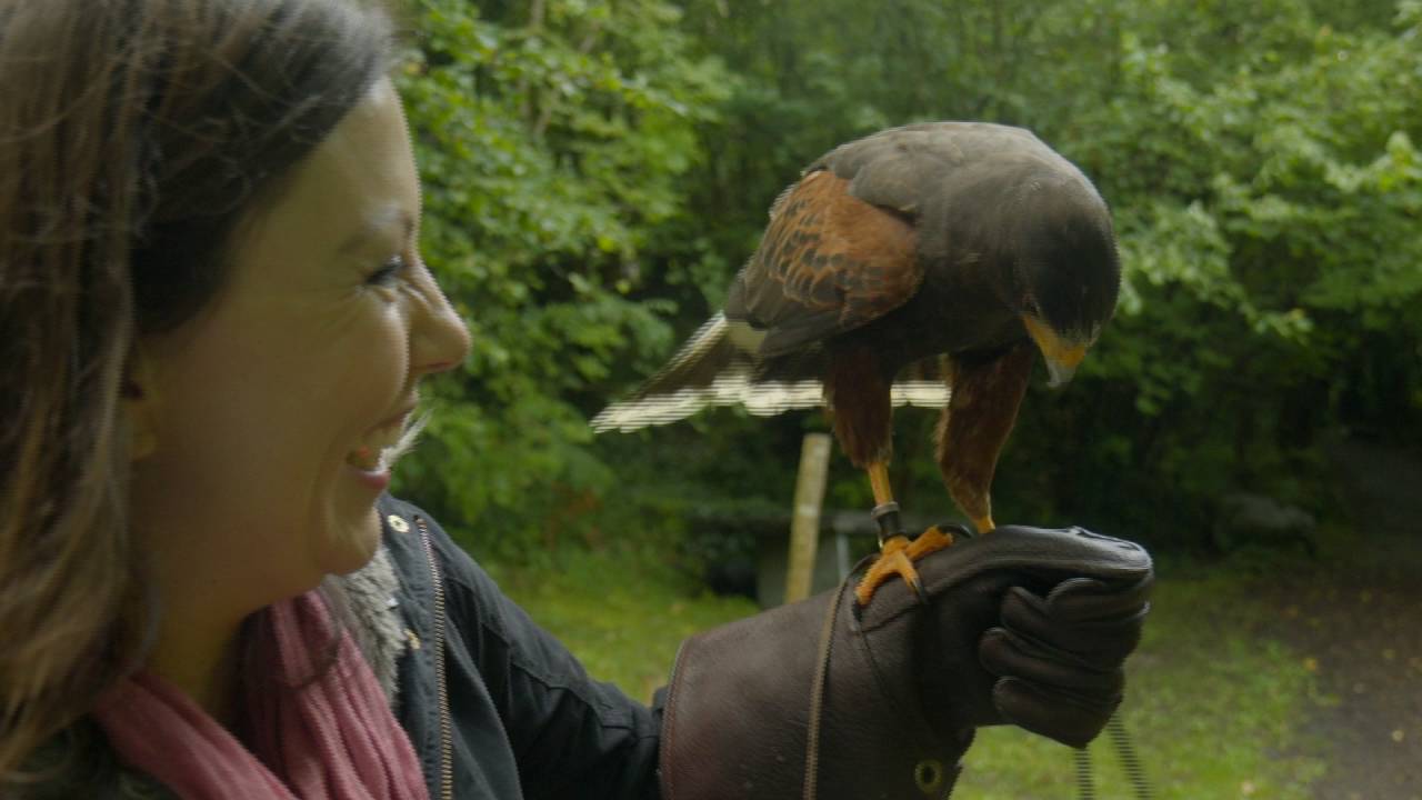 The Travel Show: Ireland Birds of Prey (2016 Week 42)