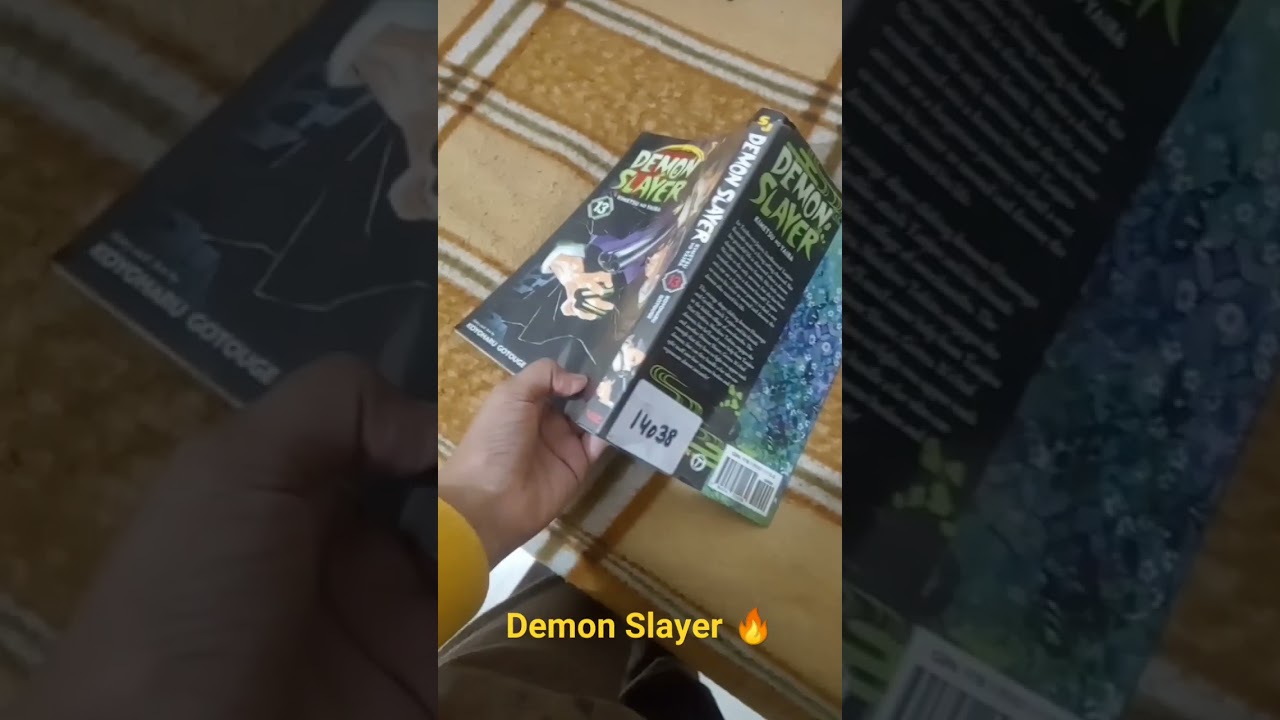 Demon Slayer Volume 13