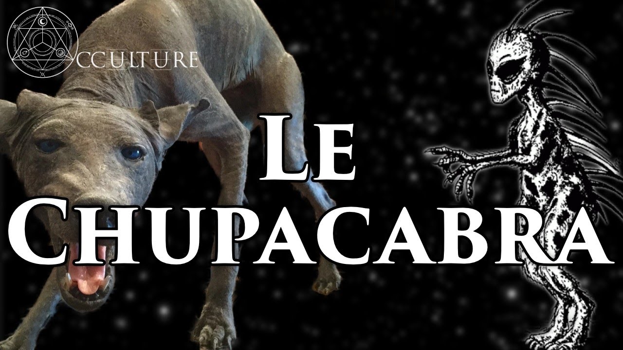 C'est quoi le Chupacabra ?