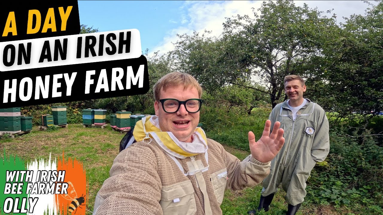 Мир ирландского пчеловодства | 350 ульев по всему Дублину с Olly's Farm!
